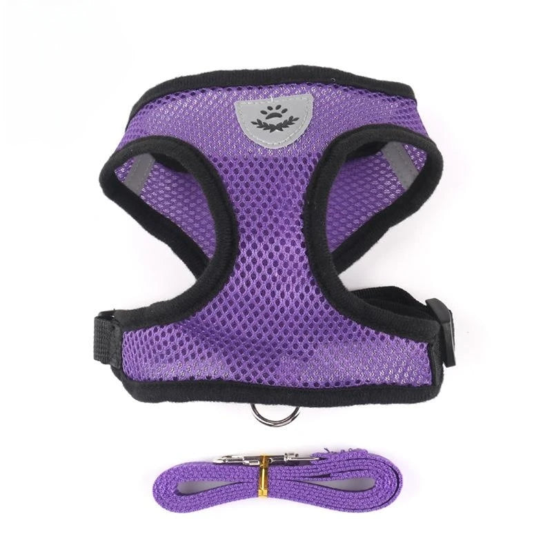 S631af3bcbead40c997bbb0418dd1bcd10